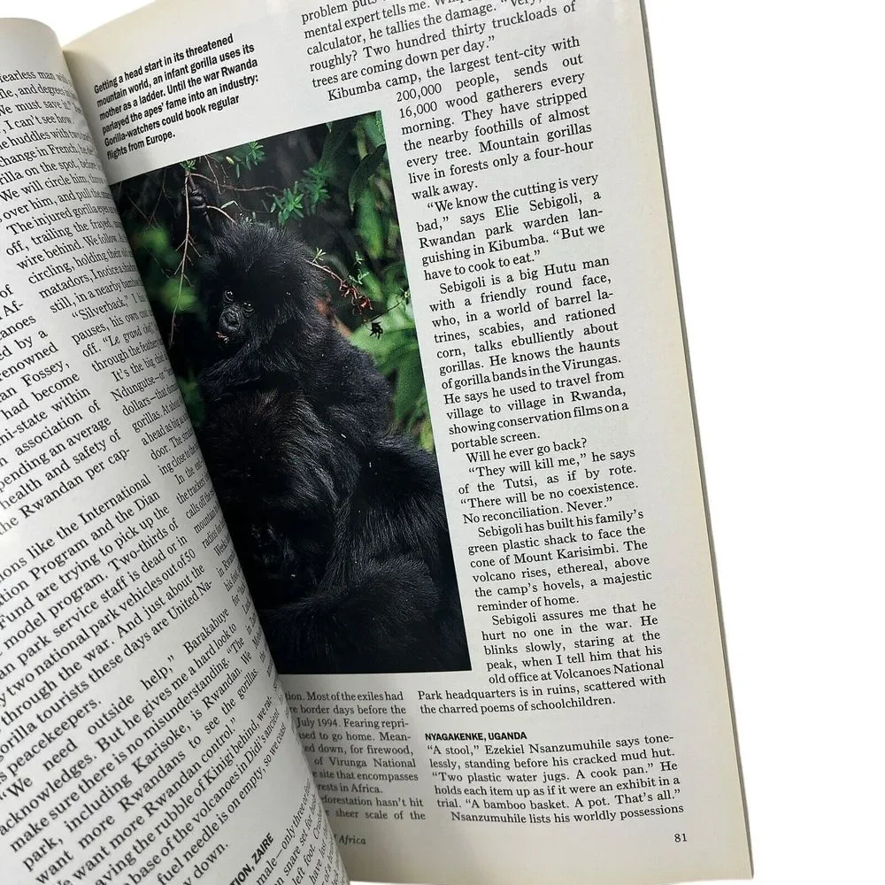 National Geographic Magazine October 1995 Mountain Gorillas‎ Revolution Britain